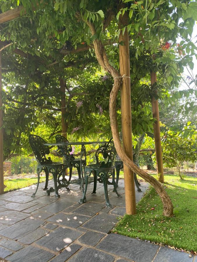 Casa Do Pomar Guest House Braganca Exterior photo